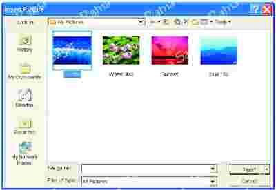 Image